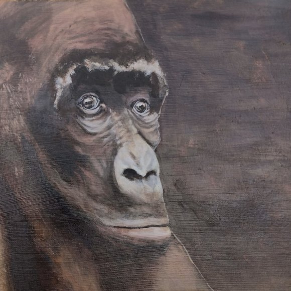 Sensitive Gorilla